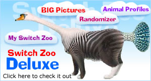 Switch Zoo Deluxe - Click here to check it out