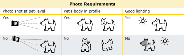 Photo Requirements