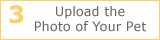 3 Upload the Photo of Your Pet